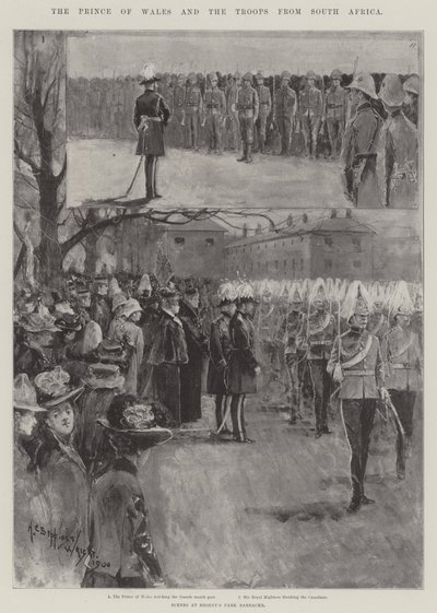 El Príncipe de Gales y las Tropas de Sudáfrica de Henry Charles Seppings Wright